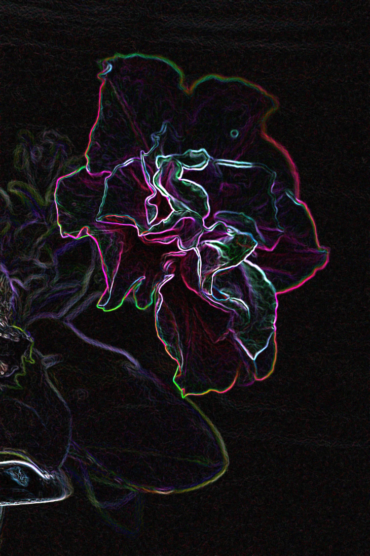 Image-normal