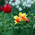 Image-square_50