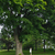 Image-square_50