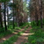 Image-square_50
