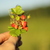 Image-square_50