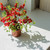 Image-square_50