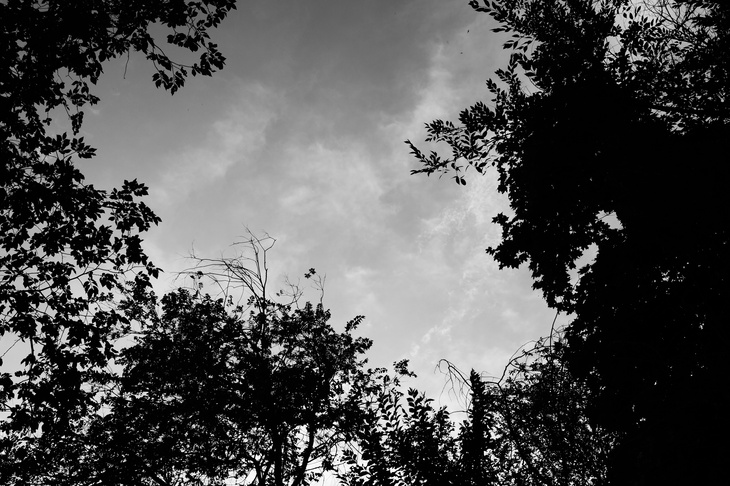 Image-normal