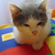 Image-square_50