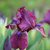 Image-square_50