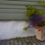 Image-square_50