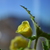 Image-square_50