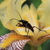 Image-square_50