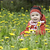 Image-square_50