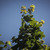 Image-square_50