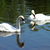 Image-square_50