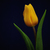 Image-square_50