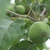 Image-square_50
