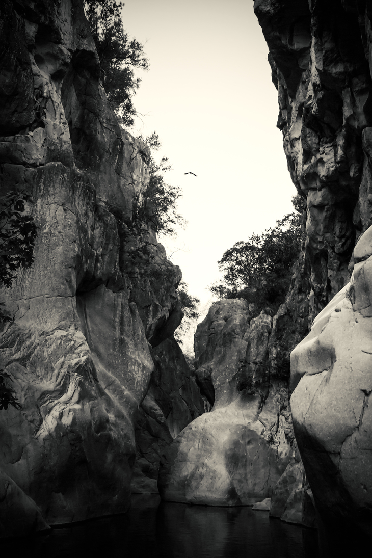 Image-normal