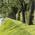 Image-square_50
