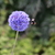Image-square_50