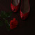 Image-square_50