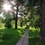 Image-square_50