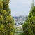 Image-square_50