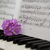 Image-square_50