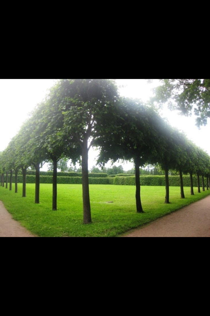 Image-normal