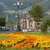 Image-square_50