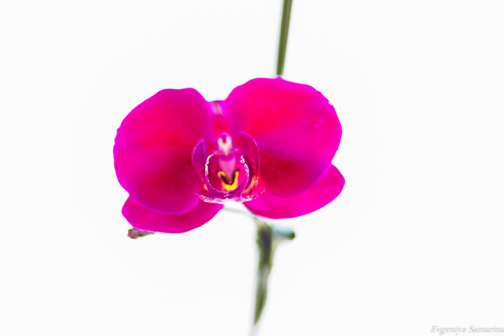 Image-normal