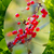 Image-square_50
