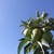 Image-square_50