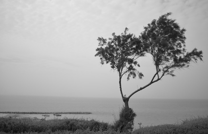 Image-normal