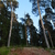 Image-square_50