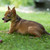 Image-square_50