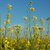 Image-square_50