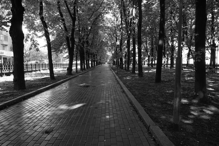 Image-normal