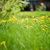 Image-square_50