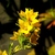 Image-square_50