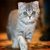 Image-square_50