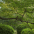 Image-square_50