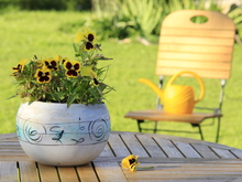 Image-rectangle_220_165