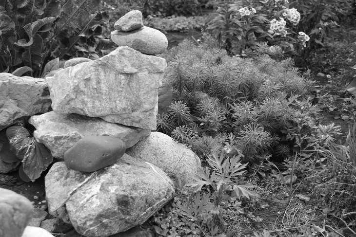 Image-normal