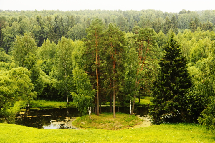Image-normal