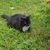 Image-square_50