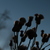 Image-square_50