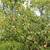 Image-square_50