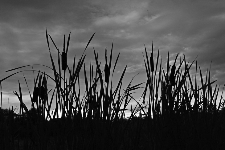 Image-normal