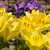 Image-square_50