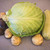 Image-square_50