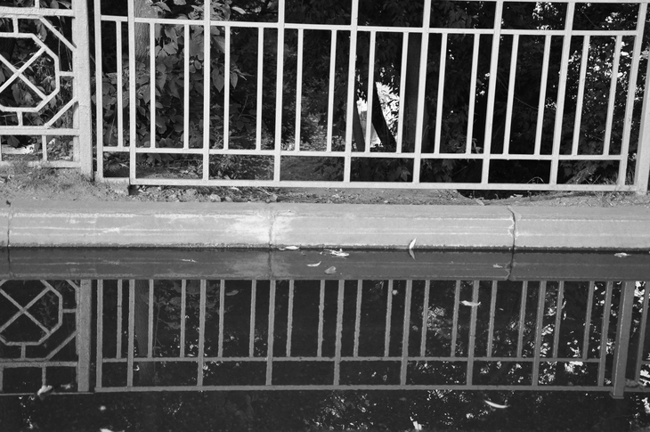 Image-normal