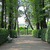 Image-square_50