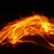 Image-square_50